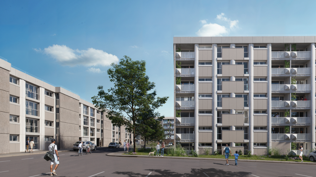 PROVENCE ET FLANDRES